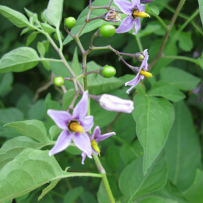 ZDaay78847's profile picture. 