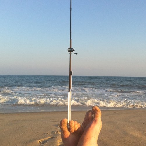 lingspecialist's profile picture. 