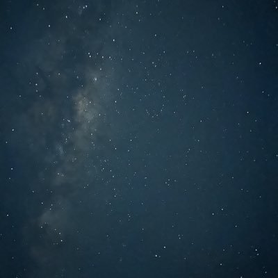 PerryYu15's profile picture. 