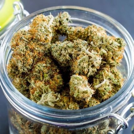 RostandA24140's profile picture. 