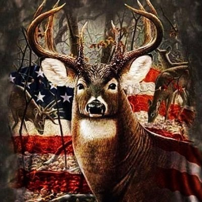 Trump / Vance 2024 💯 🇺🇸🫡 2nd Amendment Rights… Christian, Prior Military USAF. Hunter, Outdoorsman, NO DM , ULTRA MAGA AMERICA FIRST🇺🇸🫡💯 Back the Blue