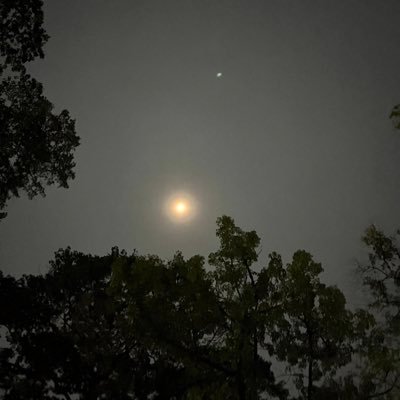 Hlyndd Profile Picture