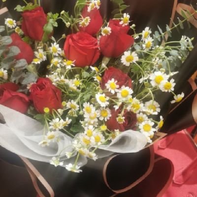 MikesonMik15344's profile picture. 