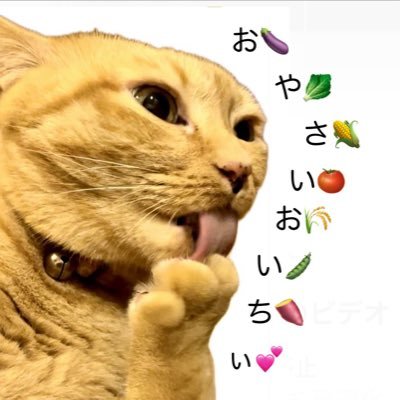 ベジタリアン🥬 岐阜に住んでミュージックスクールを運営しながら🎧ボイストレーナーやっとるよ🎤ボイトレに興味ある人はWEB見てね🙌ニャンコ🐈大好き💕