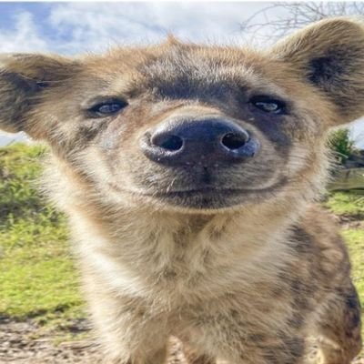 DilateJanny's profile picture. 18+