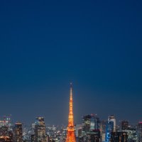 みらい (@mced0728) 's Twitter Profile