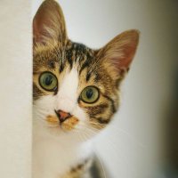 あち (@iawclub0r188371) 's Twitter Profile Photo
