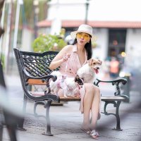 Lin Hailan (@linhailan17) 's Twitter Profile