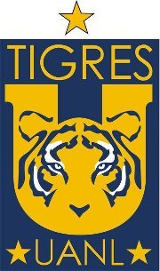 Cómo te explico lo que es el amor a la camiseta?
Si de lo que tu estás enamorado son de las estrellas 

VAMOS VAMOS TIGRES