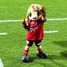 k_g_kaze's profile picture. いわきFC #12 新潟医療福祉大学 #大河原秀速