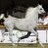ahmed_jehani's profile image