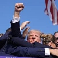HappyDeplorable (@happydeplorabl3) 's Twitter Profile