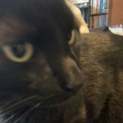 DonjonMaster's profile picture. Geek, nerd, mostly gay, Dungeon Master, former English teacher, award winning writer, and occasional artist.