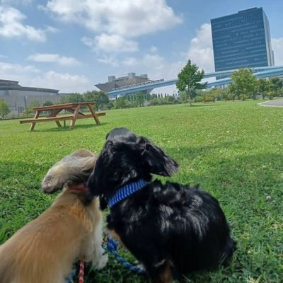 KoseShouko22413's profile picture. ☆☆❤❤