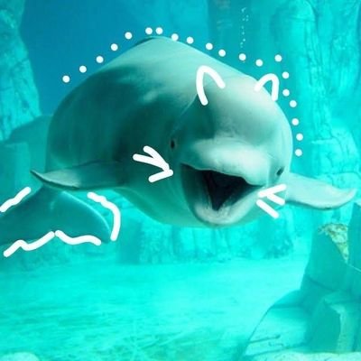 icepinkflawer's profile picture. 