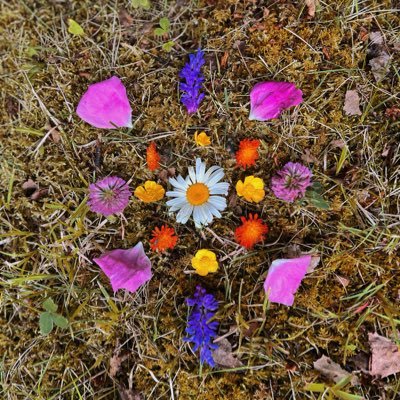 CoeurDeLaForet's profile picture. We are very old friends, but you do not remember.