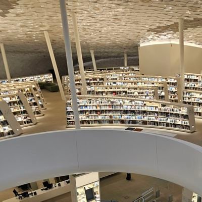 Projectbeebee's profile picture. Socio-Economic Engineer :-)