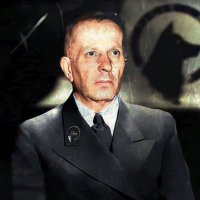 Elif (@noluyokizz) 's Twitter Profile