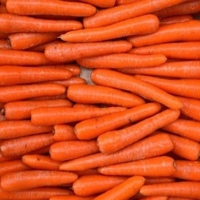 일상계 당근🥕🥕🥕
2n