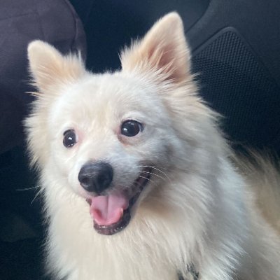 rishX0X0's profile picture. 