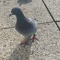 Françoise (@francoisecoxyde) 's Twitter Profile