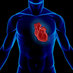 Ahmed Adel (@cardioahmed) Twitter profile photo Ahmed Adel (@cardioahmed) Twitter profile photo