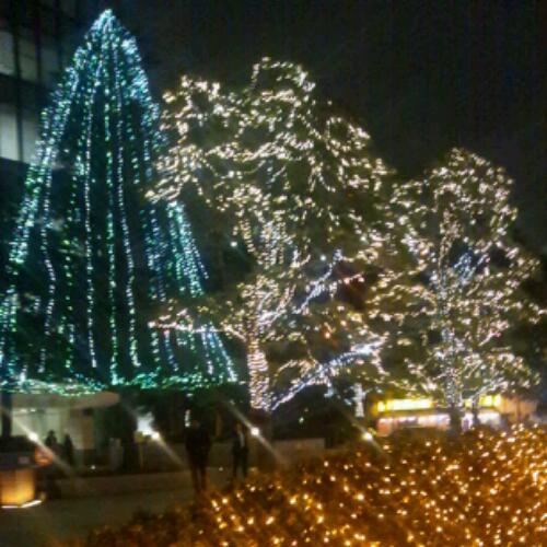 copytips's profile picture. 