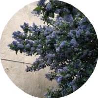 Lama (@lama69802106) 's Twitter Profile