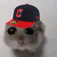 Gooberton (@goobertongoo) 's Twitter Profile