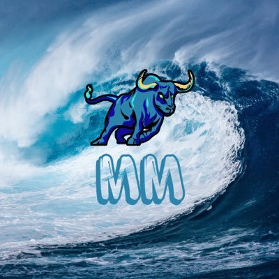 MarketMakersF's profile picture. |👁️|Orderflow X ICT 🤝|Funded 🏦|Daily Callouts 📈|