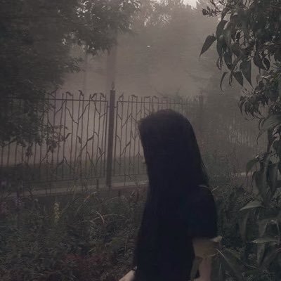 roboticlov3r's profile picture. 