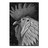 Luluandpo's profile image