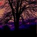Possessed_Cat_0w0 (@possessedcat0w0) Twitter profile photo Possessed_Cat_0w0 (@possessedcat0w0) Twitter profile photo