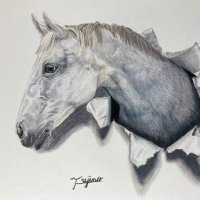 ふじの　ぴこ (@fujino_piko) 's Twitter Profile Photo