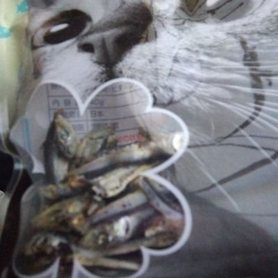 M1010mmmm's profile picture. 何か新しい物を求めています。