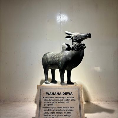 rizzayri's profile picture. Daily things