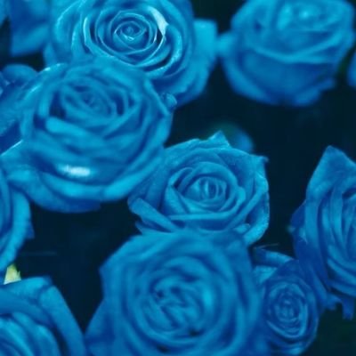 Machococo12's profile picture.