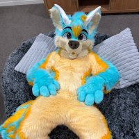 🐕Asher🦌 🔜 FurDU, MFF 25 (@asherthedolf) 's Twitter Profile