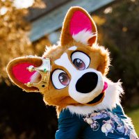 👑 Corgi King 👑 (@thycorgiking) 's Twitter Profile