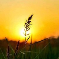 فيصل الادهم (@aladhmfysl55691) 's Twitter Profile Photo فيصل الادهم (@aladhmfysl55691) 's Twitter Profile Photo