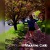 Madeline Cobb (@cobmadelne) Twitter profile photo Madeline Cobb (@cobmadelne) Twitter profile photo