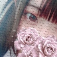 Rui (@rui203875389159) 's Twitter Profile