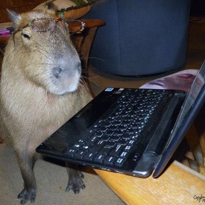 SeppeBizzarre's profile picture. Si vos agrada el que faig, doncs m'alegre, i sino, també. De vegades amolle opinions impopulars.