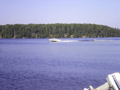 captus72's profile picture. 