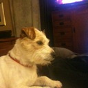 Diane Henson - @1595puck - Twitter