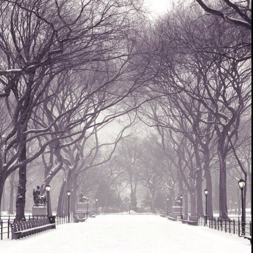 dytlfpdhd's profile picture. 난 누군가.. 또 여긴어딘가....