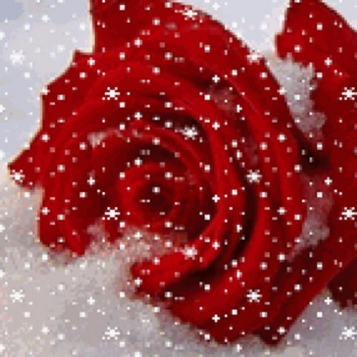 spintop99's profile picture. 