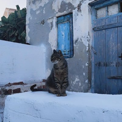 tuwayjrah's profile picture. A doctor, but not the kind that saves lives.