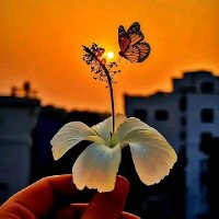 Abdur Rahim.kgen (@abdur_rahim2856) 's Twitter Profile