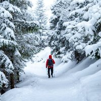 titenkoevgeny (@titenkoevgeny) 's Twitter Profile